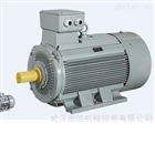 德國AC-MOTOREN電機