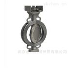 WOUTER WITZEL蝶閥(fá)